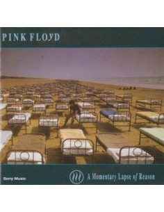 Pink Floyd - A Momentary...