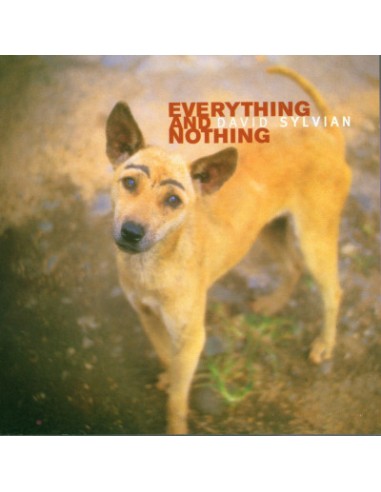 David Sylvian - Everything And Nothing (Doppio Cd) - CD