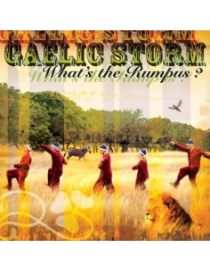 Gaelic Storm - What’s The...