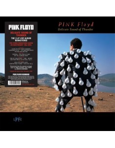 Pink Floyd - Delicate Sound...